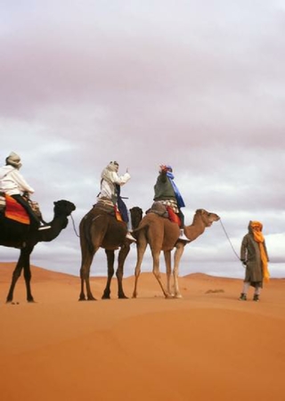 Merzouga adventure camel trek for 1,2 or more nights in luxury desert camp